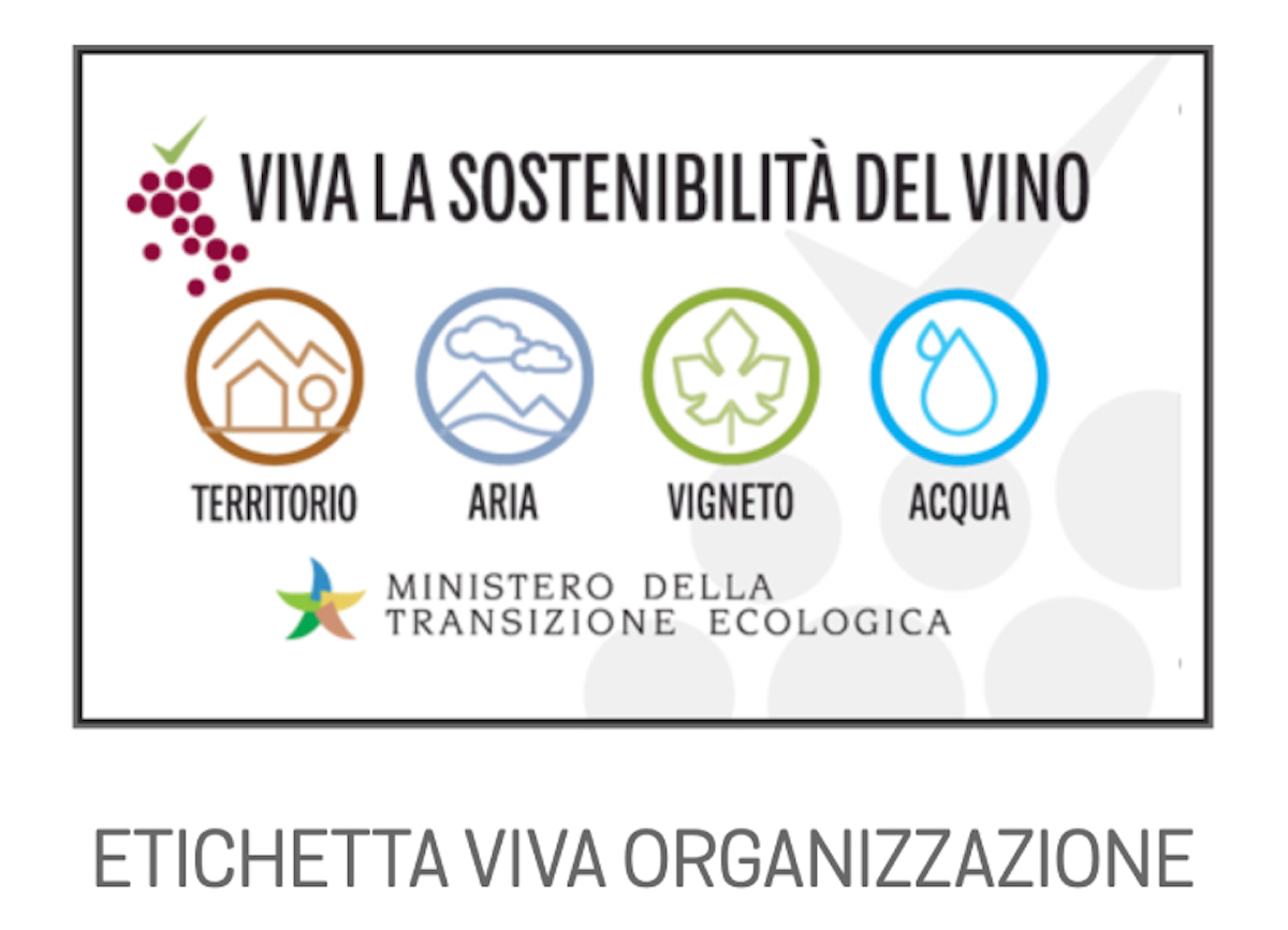 Viva la sostenibilità del vino